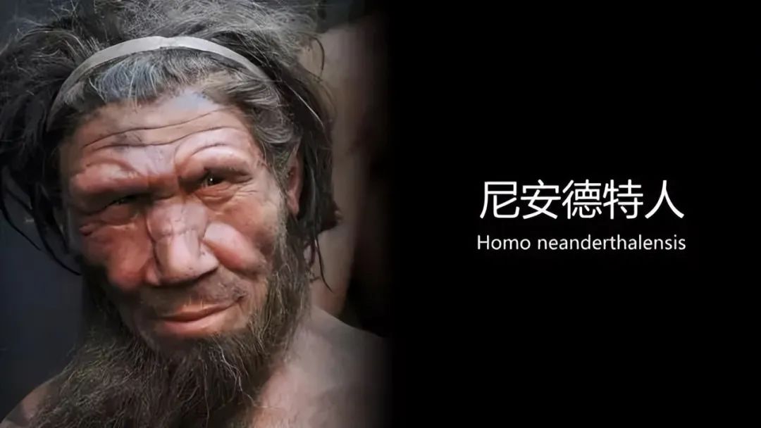 尼安德特人被枪杀亿万年前到底是谁降临了地球